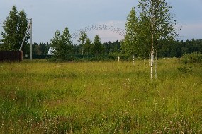 участок