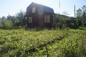 дом