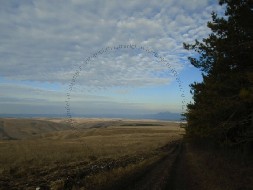 участок