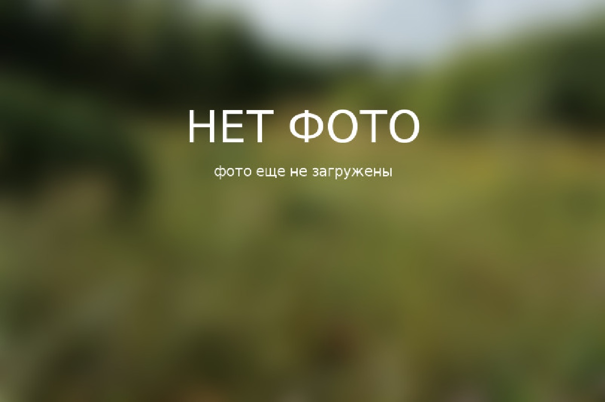 заброшенный участок