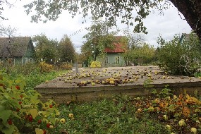дом
