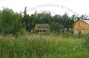 участок